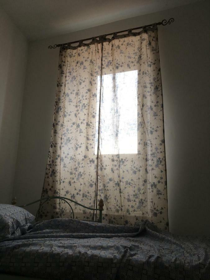 Whole Holiday Home Apartment Splendid Civitavecchia Da Pamino & Priscilla Exterior photo